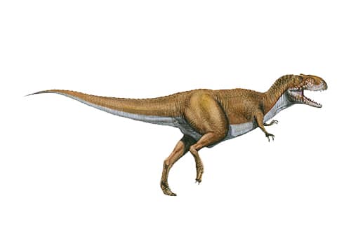 Abelisaurus