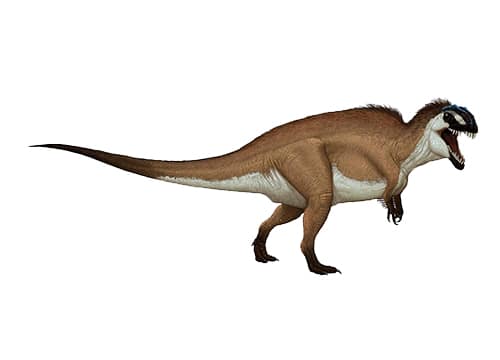 Acrocanthosaurus