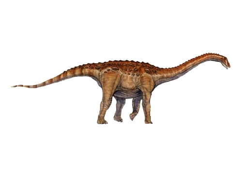 Aegyptosaurus