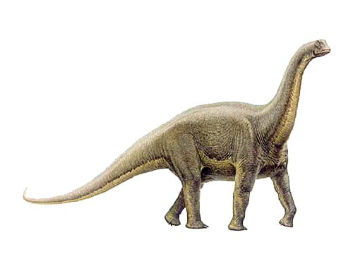 Alamosaurus