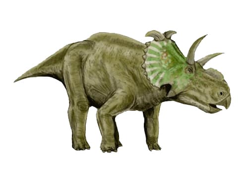 Albertaceratops