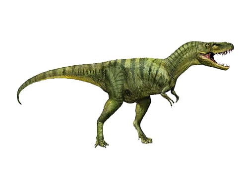 Albertosaurus