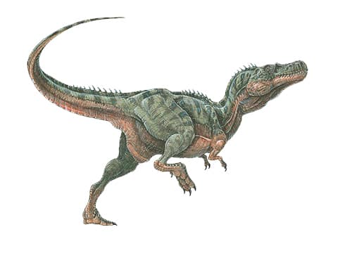 Alectrosaurus