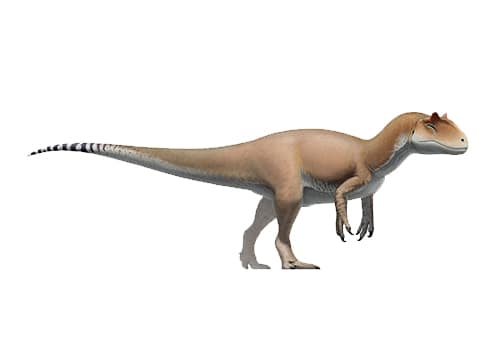 Allosaurus