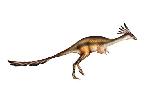 Alvarezsaurus