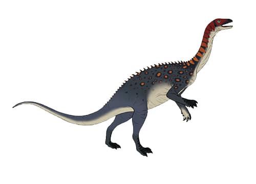 Ammosaurus