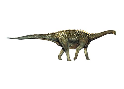 Ampelosaurus