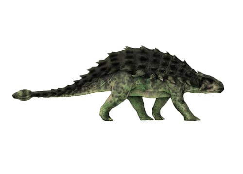 Ankylosaurus