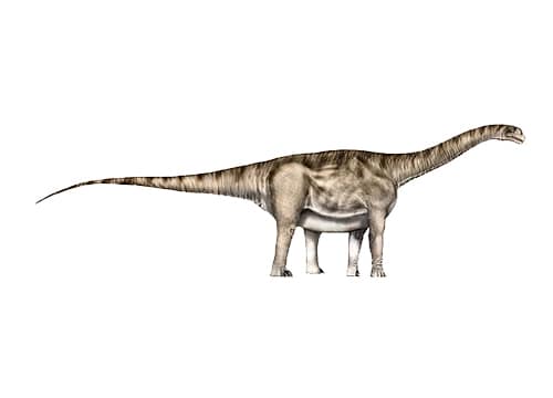 Aragosaurus