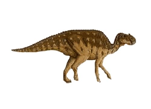 Aralosaurus