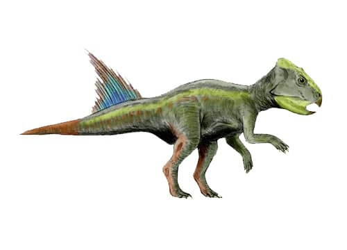 Archaeoceratops