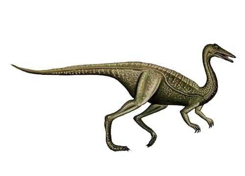 Archaeornithomimus