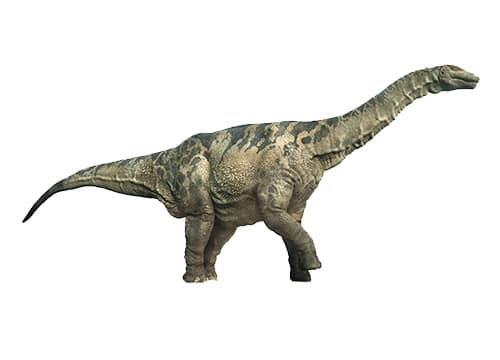 Argentinosaurus