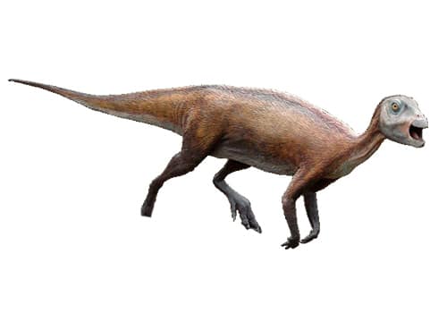 Atlascopcosaurus