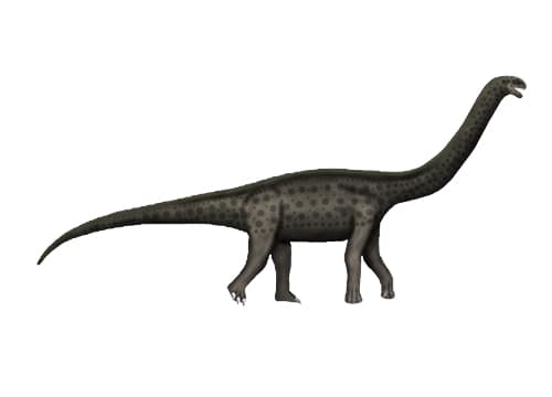 Austrosaurus