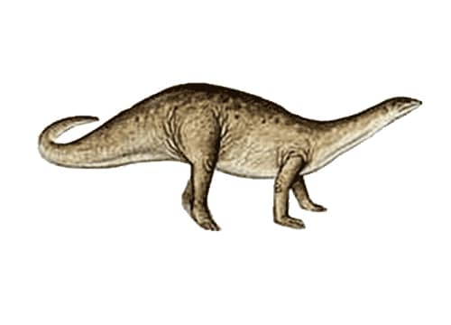 Azendohsaurus