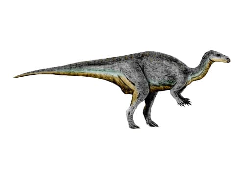 Camptosaurus