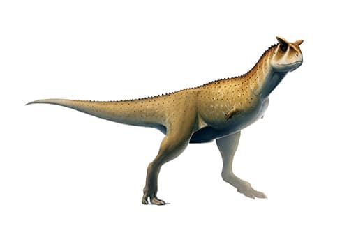 Carnotaurus