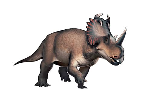 Centrosaurus