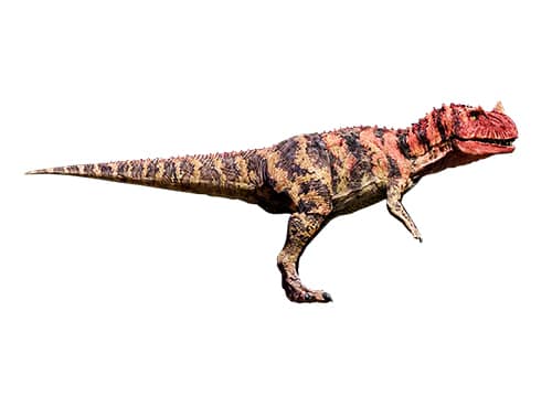 Ceratosaurus