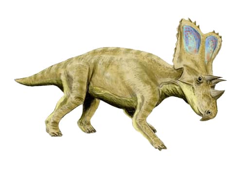 Chasmosaurus