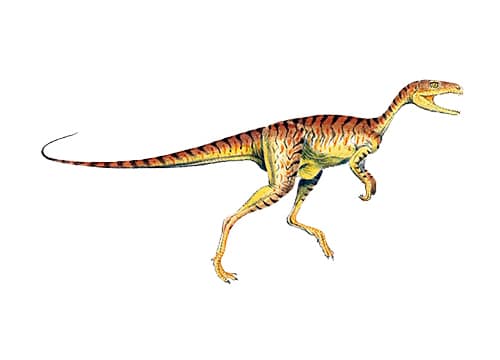 Chindesaurus