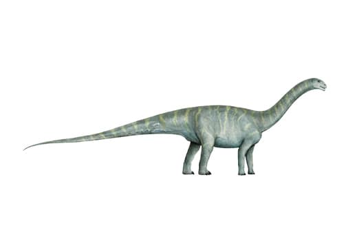 Chinshakiangosaurus