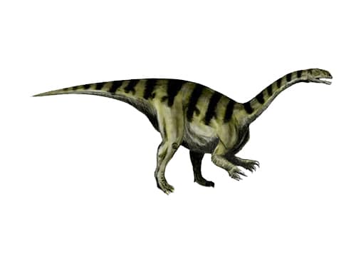 Coloradisaurus