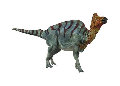 Corythosaurus