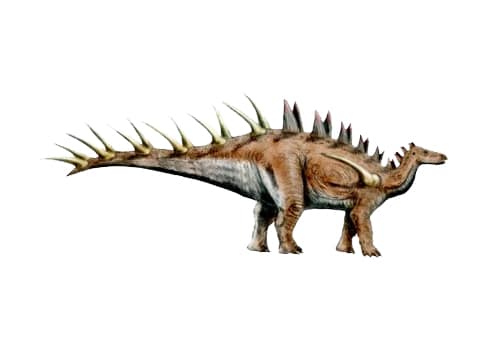 Dacentrurus