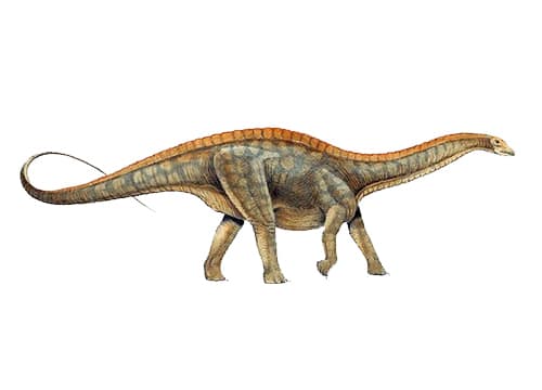 Datousaurus