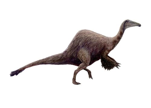 Deinocheirus