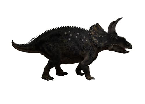 Diceratops