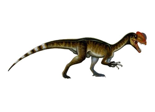 Dilophosaurus