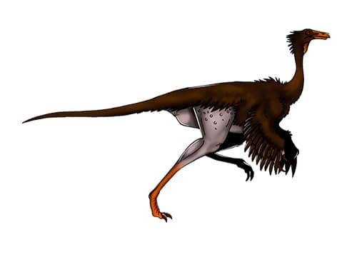 Dromiceiomimus