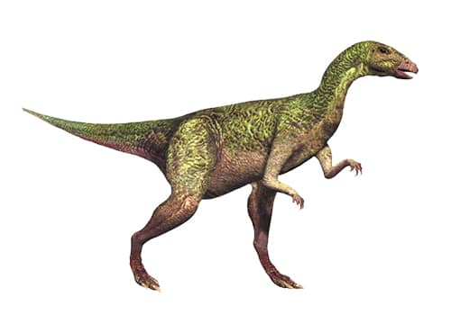 Dryosaurus