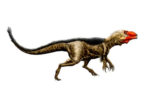 Dryptosaurus