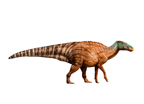 Edmontosaurus