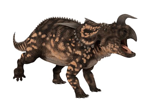 Einiosaurus