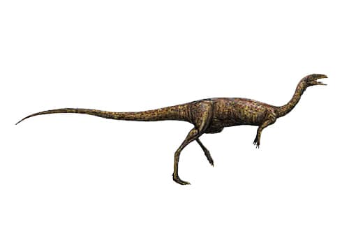 Elaphrosaurus