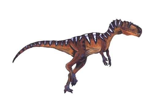 Eotyrannus