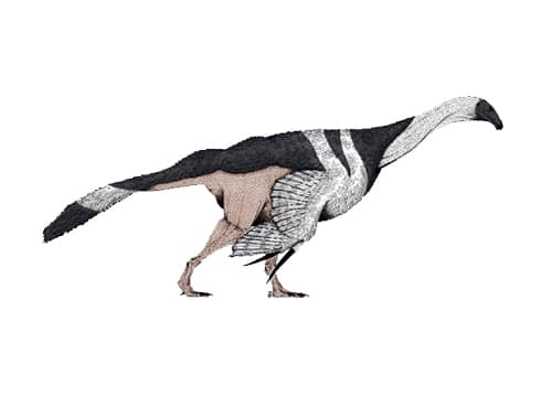 Erlikosaurus