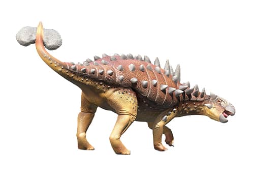 Euoplocephalus