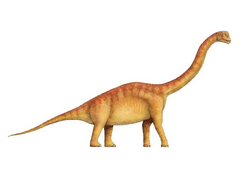 Europasaurus