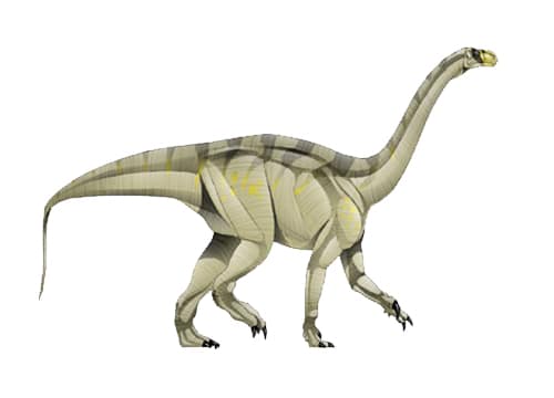 Euskelosaurus