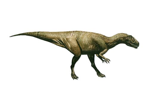 Eustreptospondylus