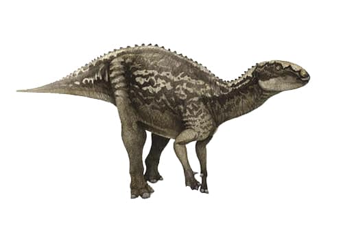 Fukuisaurus