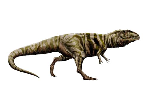 Giganotosaurus