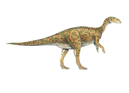 Gilmoreosaurus