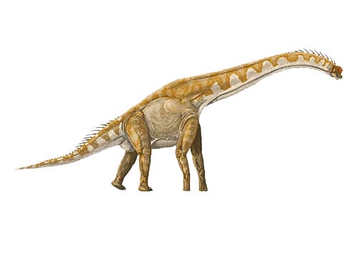 Giraffatitan